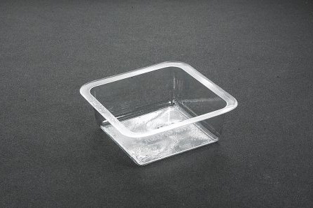 Large Portion Tray 5015