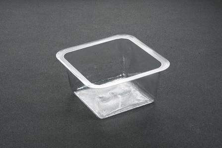 Large Portion Tray 5016