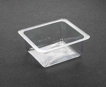 Large Portion Tray 5019