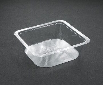 Salad / Portion Tray 5042